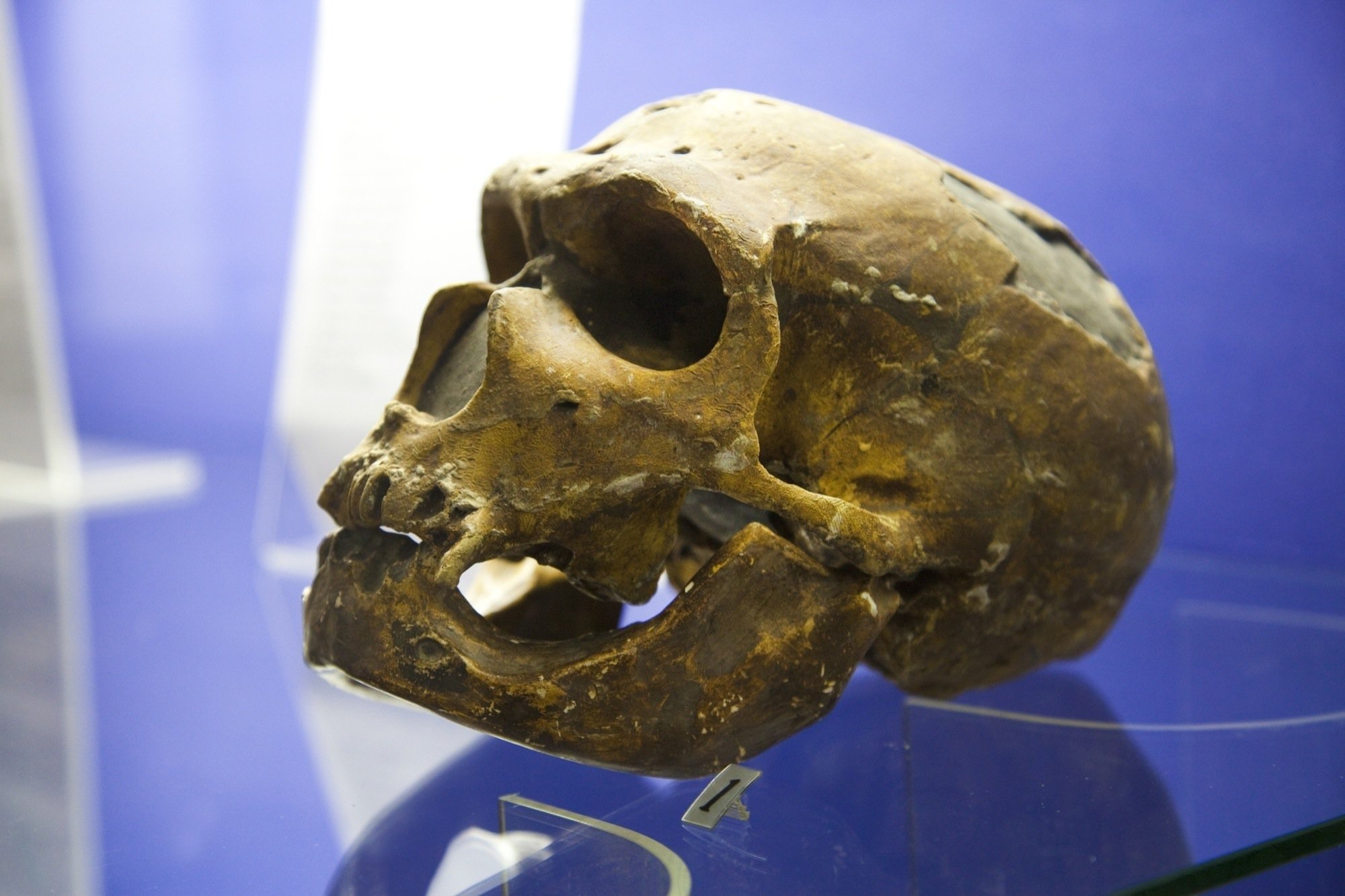 Musée Archéologie 2
