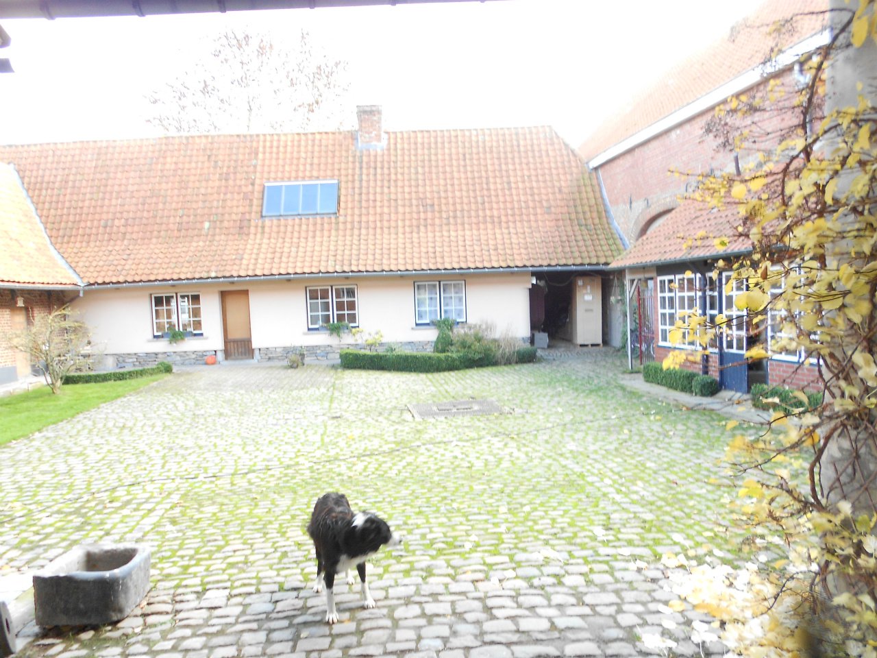Chez l'Anondor