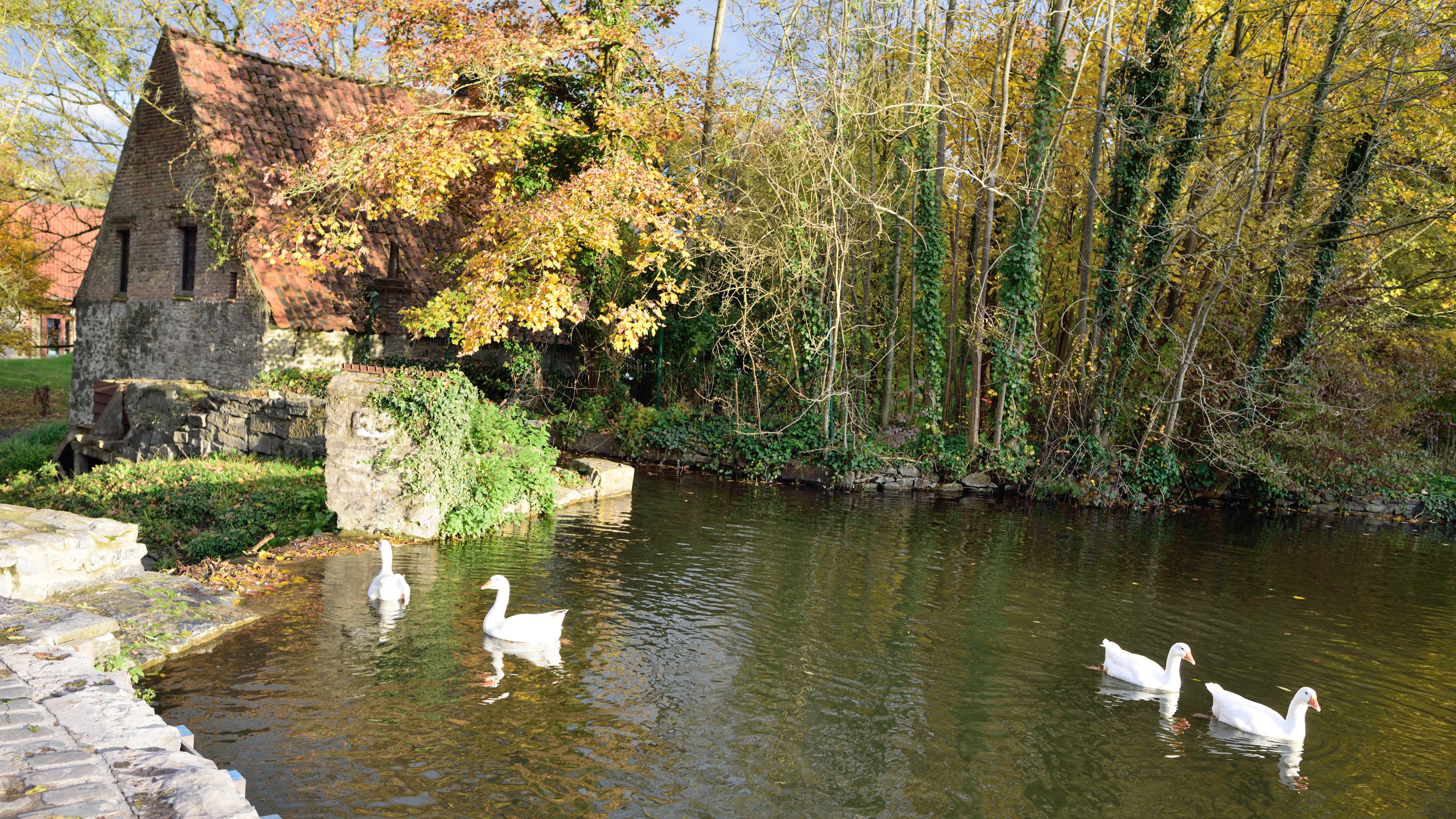 Fête du Moulin_visuel.jpg